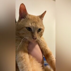 Meet your Posher, Paige